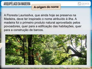 A Floresta Laurissilva, que ainda hoje se preserva na 
Madeira, deve ter inspirado o nome atribuído à ilha. A 
madeira foi o primeiro produto natural aproveitado pelos 
povoadores, quer para a edificação das habitações, quer 
para a construção de barcos. 
 