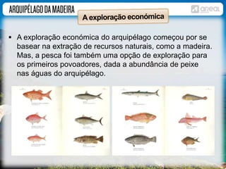  A exploração económica do arquipélago começou por se 
basear na extração de recursos naturais, como a madeira. 
Mas, a pesca foi também uma opção de exploração para 
os primeiros povoadores, dada a abundância de peixe 
nas águas do arquipélago. 
 