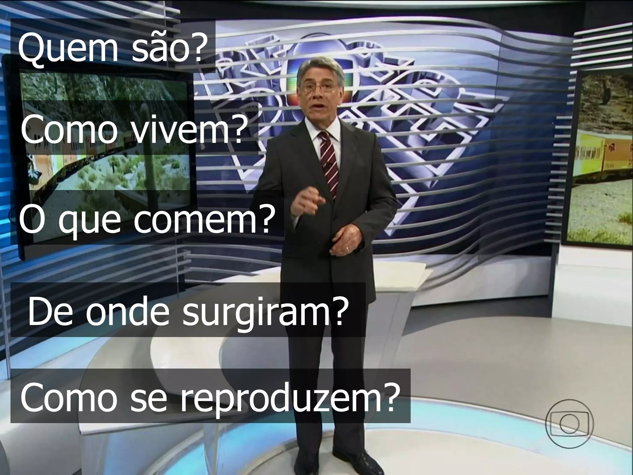 Quem são?
Como vivem?
O que comem?
De onde surgiram?
Como se reproduzem?
 