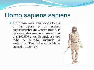 Homo sapiens sapiens
 É o homo mais evolucionado ata
o de agora e os únicos
superviventes do xénero homo. É
de orixe africano e apareceu hai
uns 100.000 anos. Estendeuse por
todo o mundo incluída a
Antártida. Ten unha capacidade
cranial de 1350 cc.
 