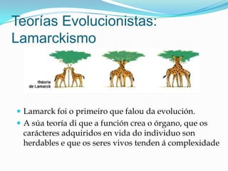 Teorías Evolucionistas:
Lamarckismo
 Lamarck foi o primeiro que falou da evolución.
 A súa teoría di que a función crea o órgano, que os
carácteres adquiridos en vida do individuo son
herdables e que os seres vivos tenden á complexidade
 