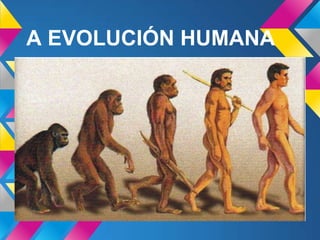 A EVOLUCIÓN HUMANA
 
