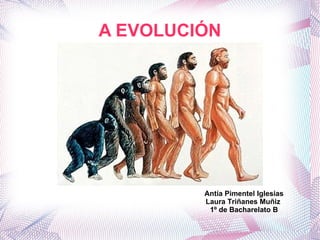 A EVOLUCIÓN Antía Pimentel Iglesias Laura Triñanes Muñiz  1º de Bacharelato B 
