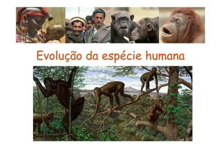 Evolução da espécie humana
 