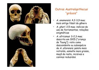 Outros Australopithecus
        “gráceis”

• A. anamensis: 4,2-3,9 maa;
  mais antigo fóssil do gênero
• A. ghari: 2,5 maa; indícios do
  uso de ferramentas; relações
  enigmáticas
• A. africanus: 3-2,3 maa;
  descrito em 1925 (“criança
  de Taung”); visto como
  descendente ou subespécie
  de A. afarensis; palato mais
  retraído, esmalte mais grosso,
  maçã do rosto, incisivos e
  caninos reduzidos
 