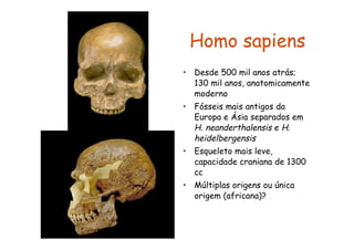 Homo sapiens
• Desde 500 mil anos atrás;
  130 mil anos, anatomicamente
  moderno
• Fósseis mais antigos da
  Europa e Ásia separados em
  H. neanderthalensis e H.
  heidelbergensis
• Esqueleto mais leve,
  capacidade craniana de 1300
  cc
• Múltiplas origens ou única
  origem (africana)?
 