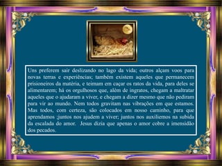 Uns preferem sair deslizando no lago da vida; outros alçam voos para
novas terras e experiências; também existem aqueles que permanecem
prisioneiros da matéria, e teimam em caçar os ratos da vida, para deles se
alimentarem; há os orgulhosos que, além de ingratos, chegam a maltratar
aqueles que o ajudaram a viver, e chegam a dizer mesmo que não pediram
para vir ao mundo. Nem todos gravitam nas vibrações em que estamos.
Mas todos, com certeza, são colocados em nosso caminho, para que
aprendamos ;juntos nos ajudem a viver; juntos nos auxiliemos na subida
da escalada do amor. Jesus dizia que apenas o amor cobre a imensidão
dos pecados.
 