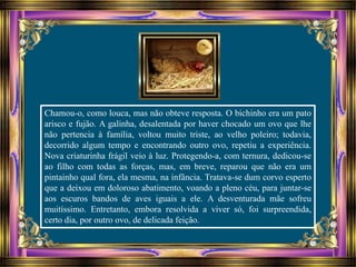 Chamou-o, como louca, mas não obteve resposta. O bichinho era um pato
arisco e fujão. A galinha, desalentada por haver chocado um ovo que lhe
não pertencia à família, voltou muito triste, ao velho poleiro; todavia,
decorrido algum tempo e encontrando outro ovo, repetiu a experiência.
Nova criaturinha frágil veio à luz. Protegendo-a, com ternura, dedicou-se
ao filho com todas as forças, mas, em breve, reparou que não era um
pintainho qual fora, ela mesma, na infância. Tratava-se dum corvo esperto
que a deixou em doloroso abatimento, voando a pleno céu, para juntar-se
aos escuros bandos de aves iguais a ele. A desventurada mãe sofreu
muitíssimo. Entretanto, embora resolvida a viver só, foi surpreendida,
certo dia, por outro ovo, de delicada feição.
 