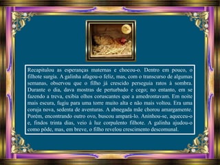 Recapitulou as esperanças maternas e chocou-o. Dentro em pouco, o
filhote surgia. A galinha afagou-o feliz, mas, com o transcurso de algumas
semanas, observou que o filho já crescido perseguia ratos à sombra.
Durante o dia, dava mostras de perturbado e cego; no entanto, em se
fazendo a treva, exibia olhos coruscantes que a amedrontavam. Em noite
mais escura, fugiu para uma torre muito alta e não mais voltou. Era uma
coruja nova, sedenta de aventuras. A abnegada mãe chorou amargamente.
Porém, encontrando outro ovo, buscou ampará-lo. Aninhou-se, aqueceu-o
e, findos trinta dias, veio à luz corpulento filhote. A galinha ajudou-o
como pôde, mas, em breve, o filho revelou crescimento descomunal.
 