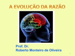 Prof. Dr.
Roberto Monteiro de Oliveira
                               3
 