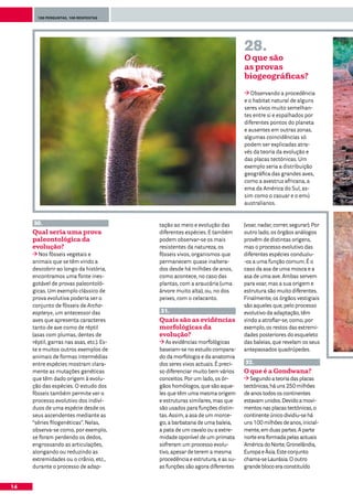 100 perguntas, 100 respostas




                                                                               28.
                                                                               O que são
                                                                               as provas
                                                                               biogeográficas?

                                                                                  Observando a procedência
                                                                               e o habitat natural de alguns
                                                                               seres vivos muito semelhan-
                                                                               tes entre si e espalhados por
                                                                               diferentes pontos do planeta
                                                                               e ausentes em outras zonas,
                                                                               algumas coincidências só
                                                                               podem ser explicadas atra-
                                                                               vés da teoria da evolução e
                                                                               das placas tectónicas. Um
                                                                               exemplo seria a distribuição
                                                                               geográfica das grandes aves,
                                                                               como a avestruz africana, a
                                                                               ema da América do Sul, as-
                                                                               sim como o casuar e o emú
                                                                               australianos.


     30.                                   tação ao meio e evolução das        (voar, nadar, correr, segurar). Por
     Qual seria uma prova                  diferentes espécies. E também       outro lado, os órgãos análogos
     paleontológica da                     podem observar-se os mais           provêm de distintas origens,
     evolução?                             resistentes da natureza, os         mas o processo evolutivo das
        Nos fósseis vegetais e             fósseis vivos, organismos que       diferentes espécies conduziu-
     animais que se têm vindo a            permanecem quase inaltera-          -os a uma função comum. É o
     descobrir ao longo da história,       dos desde há milhões de anos,       caso da asa de uma mosca e a
     encontramos uma fonte ines-           como acontece, no caso das          asa de uma ave. Ambas servem
     gotável de provas paleontoló-         plantas, com a araucária (uma       para voar, mas a sua origem e
     gicas. Um exemplo clássico de         árvore muito alta), ou, no dos      estrutura são muito diferentes.
     prova evolutiva poderia ser o         peixes, com o celacanto.            Finalmente, os órgãos vestigiais
     conjunto de fósseis de Archa-                                             são aqueles que, pelo processo
     eopteryx, um antecessor das           31.                                 evolutivo da adaptação, têm
     aves que apresenta caracteres         Quais são as evidências             vindo a atrofiar-se, como, por
     tanto de ave como de réptil           morfológicas da                     exemplo, os restos das extremi-
     (asas com plumas, dentes de           evolução?                           dades posteriores do esqueleto
     réptil, garras nas asas, etc.). Es-      As evidências morfológicas       das baleias, que revelam os seus
     te e muitos outros exemplos de        baseiam-se no estudo compara-       antepassados quadrúpedes.
     animais de formas intermédias         do da morfologia e da anatomia
     entre espécies mostram clara-         dos seres vivos actuais. É preci-   32.
     mente as mutações genéticas           so diferenciar muito bem vários     O que é a Gondwana?
     que têm dado origem à evolu-          conceitos. Por um lado, os ór-         Segundo a teoria das placas
     ção das espécies. O estudo dos        gãos homólogos, que são aque-       tectónicas, há uns 250 milhões
     fósseis também permite ver o          les que têm uma mesma origem        de anos todos os continentes
     processo evolutivo dos indiví-        e estruturas similares, mas que     estavam unidos. Devido a movi-
     duos de uma espécie desde os          são usados para funções distin-     mentos nas placas tectónicas, o
     seus ascendentes mediante as          tas. Assim, a asa de um morce-      continente único dividiu-se há
     “séries filogenéticas”. Nelas,        go, a barbatana de uma baleia,      uns 100 milhões de anos, inicial-
     observa-se como, por exemplo,         a pata de um cavalo ou a extre-     mente, em duas partes. A parte
     se foram perdendo os dedos,           midade oponível de um primata       norte era formada pelas actuais
     engrossando as articulações,          sofreram um processo evolu-         América do Norte, Gronelândia,
     alongando ou reduzindo as             tivo, apesar de terem a mesma       Europa e Ásia. Este conjunto
     extremidades ou o crânio, etc.,       procedência e estrutura, e as su-   chama-se Laurásia. O outro
     durante o processo de adap-           as funções são agora diferentes     grande bloco era constituído


14
 