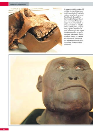 100 perguntas, 100 respostas




                                    A sua antiguidade ronda os 6-7
                                    milhões de anos (Mioceno tar-
                                    dio). A descoberta foi realizada
                                    no deserto de Yurab, na actual
                                    República do Chade (África
                                    Central). Este fóssil, atribuível
                                    a um hominídeo, foi designa-
                                    do por Toumaï (nome dado às
                                    crianças nascidas na estação
                                    seca e que em goran, a língua
                                    local, significa esperança de
                                    vida). Pensa-se que teve origem
                                    no intervalo crucial no qual a
                                    linhagem que leva aos actuais
                                    humanos diverge da que leva
                                    aos chimpanzés. Pertence a
                                    um novo género e espécie de
                                    hominídeo: Sahelanthropus
                                    tchadensis.




24
 