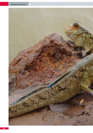 100 perguntas, 100 respostas




38
 