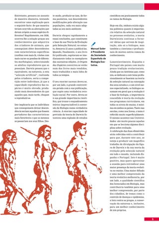 Entretanto, pensava no assunto       te modo, produzir-se-iam, de for-                    científicos em praticamente todos
de maneira obsessiva, tentando       ma paulatina, nos descendentes                       os ramos da Biologia.
encontrar uma explicação para        modificações pela alteração nas
o seguinte facto: de que maneira     populações, cada vez mais adap-                      Hoje em dia, embora exista algu-
teriam ocorrido as alterações que    tadas ao seu meio ambiente.                          ma polémica quanto à importân-
deram origem a essas espécies di-                                                         cia relativa da selecção natural
ferentes? Rapidamente, em 1838,      Darwin chegou rapidamente a                          no processo evolutivo, a teoria
ocorreu-lhe a solução graças aos     essas conclusões, que constituem                     Darwinista continua a for ne-

                                                                          ¡
conhecimentos que adquirira          a base da sua Teoria da Evolução                     cer ideias que servem de inspi-
dos criadores de animais, que        pela Selecção Natural; no entan-                     ração, não só a biólogos, mas
conseguiam obter descendentes        to, demorou 21 anos a publicá-las.   Manuel Soler    também a cientistas e profissio-
com características específicas      Quando, finalmente, o seu livro      é Presidente    nais de muitos outros ramos do
(ovelhas com mais lã, vitelas com    foi publicado, esgotaram-se ime-     da Sociedade    conhecimento.
mais carne ou pombas de diferen-     diatamente todos os exemplares       Espanhola de
tes morfologias), seleccionando      das sucessivas edições. A Origem     Biologia Evo-   Lamentavelmente, Espanha e
os adultos reprodutores que as       das Espécies converteu-se então      lutiva.         Portugal são países com muito
possuíam. Darwin pensou que o        num dos livros mais vendidos,                        pouca tradição evolucionista.
equivalente, na natureza, a esta     mais traduzidos e mais lidos de                      Ainda que os cientistas que, como
“selecção artificial”, realizada     todos os tempos.                                     nós, se dedicam a este tema profis-
pelos criadores, seria a compe-                                                           sionalmente se baseiem na teoria
tição entre indivíduos, já que a     O seu enorme sucesso deveu-se,                       da selecção natural na concepção
capacidade reprodutiva das es-       por um lado, à grande controvér-                     dos seus estudos e, a um nível me-
pécies é muito elevada, produ-       sia gerada com a sua publicação,                     nos especializado, os biólogos as-
zindo mais descendentes do que       que supôs uma verdadeira revo-                       sumam em geral que a evolução é
aqueles que, mais tarde, chegam      lução social. Por outro, deveu-se                    a base da biologia, a importância
a reproduzir-se.                     à sua grande importância cientí-                     concedida à teoria da evolução
                                     fica, que trouxe o enquadramento                     nos programas curriculares, em
Isto implicaria que os indivíduos    teórico imprescindível à conver-                     todos os níveis de ensino, é míni-
que conseguissem deixar descen-      são da Biologia numa verdadeira                      ma em ambos os países. Tanto nas
dência seriam aqueles que fossem     ciência. A enorme capacidade de                      escolas, como nos liceus, o tema é
portadores das características       previsão da teoria de Darwin fa-                     referido muito superficialmente.
mais favoráveis e que os mesmos      voreceu uma explosão de estudos                      O mesmo acontece nas Universi-
as passariam aos seus filhos. Des-                                                        dades: são muito poucas aquelas
                                                                                          em que se lecciona alguma disci-
                                                                                          plina sobre evolução.
                                                                                          A celebração das duas efemérides
                                                                                          atrás referidas está a contribuir
                                                                                          para que, durante este ano, se
                                                                                          esteja a produzir um magnífico
                                                                                          trabalho de divulgação da figu-
                                                                                          ra de Darwin e da sua teoria da
                                                                                          evolução pela selecção natural
                                                                                          em todo o mundo, incluindo Es-
                                                                                          panha e Portugal. Isto é muito
                                                                                          positivo, mas quero aproveitar
                                                                                          a ocasião para reivindicar uma
                                                                                          maior presença da teoria evoluti-
                                                                                          va no ensino. Uma maior difusão
                                                                                          e uma melhor compreensão da
                                                                                          teoria evolutiva melhoraria, por
                                                                                          um lado, a qualidade científica
                                                                                          dos licenciados em Biologia, mas
                                                                                          contribuiria também para uma
                                                                                          melhor compreensão, por parte
                                                                                          dos cidadãos, de temas como o
                                                                                          controlo de doenças e epidemias,
                                                                                          a luta contra as pragas, a conser-
                                                                                          vação da natureza e, inclusive,
                                                                                          para um melhor conhecimento
                                                                                          de nós próprios.



                                                                                                                                5
 