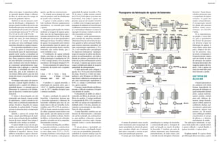 talino como água. A experiência indica
ao operador quando dirigir o efluente
do filtro de carvão para um tanque de
xarope de qualidade inferior.
Também se usa um processo contí-
nuo de clarificação e alvejamento. Os
xaropes (méis) dos filtros de carvão são
bombeados para uma casa de méis, onde
são classificados de acordo com a pureza
e concentração: pureza de 99 a 99,7; de
90 a 93; de 84 a 87; e de 75 a 80.		
Os méis mais escuros são tratados com
carvão (de ossos, de ossos sintéticos,
carvão ativo) ou resinas trocadoras,
ou ainda, por uma combinação desses
materiais, obtendo-se o açúcar mascavo.
No evaporador-cristalizador a vácuo,
o xarope de açúcar é concentrado até
determinado grau de supersaturação,
quando então recebe a semeadura de
uma quantidade determinada de açúcar
fino. Esses pequenos cristais crescem
até uma dimensão conveniente ao mer-
cado, mediante uma taxa de ebulição e
de evaporação apropriadamente regu-
lada junto com a agitação e a entrada
do xarope. A velocidade não deve ser
muito alta, pois, se for, formam-se no-
vos cristais (falsos grãos), que não têm
tempo de crescer e se perdem na joeira
da turbina.
Os xaropes mais puros são reserva-
dos para o açúcar líquido (incolor), os
seguintes para o açúcar em tabletes e
granulado grosso, e o restante para os
fabricantes de conservas e de bebidas,
para os doceiros e confeiteiros (açúcar
mascavo).
O vácuo é descarregado em um
misturador que impede a massa cozida
de aglutinar-se, a qual é enviada às tur-
binas, onde os cristais são separados do
xarope, lavados e lançados no tanque
de depósito do açúcar úmido. O xarope
retorna ao processo para a recuperação
do açúcar.
Quando a pureza do xarope fica
baixa, é usado para fabricação de mela-
ços de mesa; as frações de pior qualidade
servem de ração animal. Esse xarope é
conhecido como melaço ou melado.
O açúcar úmido é seco em um gra-
nulador, um tambor rotatório horizontal
com um conjunto de palhetas estreitas
solidárias à superfície interna. Essas
palhetas suspendem o açúcar e deixam-
no cair através de uma corrente de ar
quente, que flui em contracorrente.
Os cristais secos passam por uma
série de peneiras, onde são classificados
de acordo com o tamanho.
O açúcar é então pesado e emba-
lado mediante diversos equipamentos
automáticos, ou estocado para venda
a granel.
Os açúcares pulverizados são obtidos
mediante a moagem do açúcar granu-
lado, mas são tão higroscópicos que é
costume misturá-los com 3% de amido
de milho para ter os tipos apropriados à
fabricação de doces. Os cubos e tabletes
de açúcar são preparados pela mistura
de determinados tipos de açúcar gra-
nulado com um xarope denso e incolor,
formando uma massa úmida, que é
então moldada e seca.
O rendimento do açúcar refinado
obtido, com base no açúcar bruto de
96°de polarização, é usualmente de 93%
a 94%; o xarope monta a 5% e as perdas
mecânicas e de lavagem atingem 0,7%.
No processamento do açúcar há cer-
ta inversão, de acordo com a seguinte
reação:
C12
H22
011
+ H2
0 → C6
H12
06
+ C6
H12
06
Sacarose d- Glicose d – Frutose
Polarização +66,6° +52,8°	 -92,8°
O produto é o açúcar invertido; a
polarização da sacarose pura, que é
+66,6° (+ significa dextrogira), passa
a ser de -20° (- significa levogira) para
a mistura resultante.
Já para a produção do açúcar de
beterraba, é importante destacar que
a beterraba açucareira é diferente da
beterraba ordinária pelo fato de ser
muito maior e não ser vermelha. As be-
terrabas, com 13% a 17% de sacarose e
0,8% de cinzas, entram na usina através
de calhas, pequenos canais cheios com
água quente, que não apenas as trans-
portam, mas também as lavam. Dentro
da fábrica, as beterrabas são relavadas,
pesadas e cortadas em tiras compridas,
denominadas cossettes.
As cossettes são lançadas em difuso-
res especiais contínuos, a contracorren-
te. O açúcar é extraído em contracorren-
te com a água, entre 71,1°C e 79,4°C.
O xarope resultante é uma solução com
10% a 12% de sacarose e uma pequena
quantidade de açúcar invertido, e 2% a
3% de cinza. A polpa restante contém
de 0,1% a 0,3% de açúcar (com base nas
beterrabas). Essa polpa é enxuta em
prensas, seca em um secador rotatório
e vendida como forragem para gado. A
passagem da indústria de beterraba para
os difusores contínuos em contracorren-
te e automáticos eliminou os custos de
operação do xarope e reduziu a mão-de-
obra necessária na bateria.
O xarope é coado grosseiramente,
para remoção de materiais estranhos.
Adiciona-se leite de cal (ou leite de saca-
rato, quando se adota o processo Steffen
para remover materiais estranhos) até
uma concentração equivalente a 2% a
3%. A cal contribui para a precipitação
de impurezas indesejáveis. Quaisquer
traços de sacarato de cálcio são decom-
postos em carbonatadores, por onde o
dióxido de carbono, proveniente de um
forno de cal, flui continuamente através
do xarope. A espuma que aparece nessa
etapa é reduzida pela adição de pequena
quantidade de antiespumante.
O lodo provocado pela calagem é
igual a 4% a 5% do peso das beterrabas
da carga. Remove-se o lodo em espes-
sadores e pela filtragem em filtros do
tipo Rotary. Adiciona-se novamente cal
até uma concentração equivalente a
0,5%, e o xarope é carbonatado outra
vez, agora a quente.
O xarope é então filtrado em filtros a
pressão e o filtrado resultante é alvejado
com dióxido de enxofre.
O precipitado de sulfito de cálcio é
removido em filtros de pressão ou em
filtros de quadros. O xarope purificado
é concentrado de 10% a 12%, em açúcar,
até 60%, em açúcar em evaporadores a
múltiplo efeito. Com isso, aumenta no-
vamente a concentração de íons cálcio.
Parte do cálcio precipita.
A usina Spreckles também usa um
sistema de descoramento a adsorção
em carvão reativado, em contracorren-
te, para purificar e descorar o xarope
concentrado, em torres onde o xarope
ascende contra o carvão descendente
(Op).
O xarope grosso é granulado em
tabuleiros a vácuo, centrifugado, lavado
e seco em um granulador, peneirado e
embalado de maneira análoga à que foi
descrita a propósito do açúcar de cana.
O xarope do primeiro vácuo recebe
outro tratamento para recuperação de
maior quantidade de cristais de açúcar,
mas o produto obtido não é bastante
puro para o mercado e retorna ao pro-
cesso para purificação posterior.
O xarope que resta depois de várias
cristalizações é o melaço de beterraba;
é comercializado para a forragem de
gado ou lançado ao rejeito da polpa
de beterraba. É também um meio de
cultura importante para fermentação,
particularmente, do ácido cítrico, pois
o elevado teor de nitrogênio é bastante
favorável. Foram desen-
volvidos processos para
a recuperação do açúcar
restante, os quais são
usados comercialmente.
A recuperação inicial
foi obtida pelo processo
Steffen, usado exten-
samente nos Estados
Unidos.
Já se experimentou,
ou propôs, a troca iôni-
ca, para o tratamento
dos licores do processo
em diversas etapas da
fabricação do açúcar. A
troca iônica opera bem
para a limpeza dos lico-
res do processo, mas,
no total, o tratamento é
frequentemente muito
caro em virtude do custo
da colocação dos rejeitos
daságuasadocicadasedos
reagentes gastos (da lava-
gem). Com o açúcar de
cana, por outro lado, pode
haver inversão e perdas.
Ostipos de
açúcar
O açúcar apresenta-se
no comércio sob várias
formas, dependendo do
processo de refinação ao
qual é submetido: melado
preto, açúcar marrom,
açúcar comum, cristais
para café, tabletes, de-
merara, xarope dourado,
açúcar cristal, açúcar de
confeiteiro, melaço, açú-
car mascavo, açúcar para
conservas, açúcar com
pectina, etc. De acordo
com a utilização também
encontramos o xarope
de glicose e a dextrose
provenientes do amido.
Nas aplicações industriais, os açú-
cares mais usados são o açúcar cristal,
o açúcar refinado, o açúcar líquido, o
açúcar invertido e o açúcar glacê.
O açúcar cristal. É o açúcar obtido
por fabricação direta nas usinas, a partir
Fluxograma da fabricação de açúcar de beterraba
37
ADITIVOS&INGREDIENTES
36
ADITIVOS&INGREDIENTES
açúcaraçúcar
 