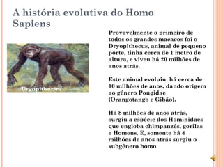 A história evolutiva do Homo
Sapiens
                   Provavelmente o primeiro de
                   todos os grandes macacos foi o
                   Dryopithecus, animal de pequeno
                   porte, tinha cerca de 1 metro de
                   altura, e viveu há 20 milhões de
                   anos atrás.

                   Este animal evoluiu, há cerca de
                   10 milhões de anos, dando origem
                   ao género Pongidae
                   (Orangotango e Gibão).

                   Há 8 milhões de anos atrás,
                   surgiu a espécie dos Hominidaes
                   que engloba chimpanzés, gorilas
                   e Homens. E, somente há 4
                   milhões de anos atrás surgiu o
                   subgénero homo.
 