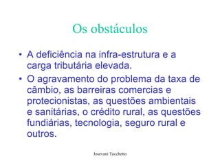 Os obstáculos A deficiência na infra-estrutura e a carga tributária elevada.  O agravamento do problema da taxa de câmbio, as barreiras comercias e protecionistas, as questões ambientais e sanitárias, o crédito rural, as questões fundiárias, tecnologia, seguro rural e outros. 