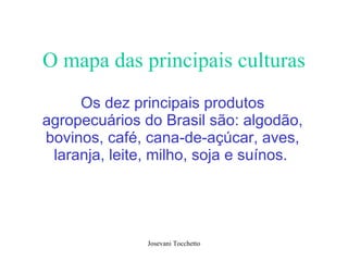 O mapa das principais culturas Os dez principais produtos agropecuários do Brasil são: algodão, bovinos, café, cana-de-açúcar, aves, laranja, leite, milho, soja e suínos.   