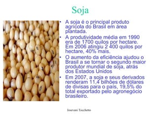 Soja A soja é o principal produto agrícola do Brasil em área plantada.  A produtividade média em 1990 era de 1700 quilos por hectare. Em 2006 atingiu 2 400 quilos por hectare, 40% mais.  O aumento da eficiência ajudou o Brasil a se tornar o segundo maior produtor mundial de soja, atrás dos Estados Unidos Em 2007, a soja e seus derivados renderam 11,4 bilhões de dólares de divisas para o país, 19,5% do total exportado pelo agronegócio brasileiro. 