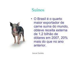 Suínos O Brasil é o quarto maior exportador de carne suína do mundo, obteve receita externa de 1,2 bilhão de dólares em 2007, 20% mais do que no ano anterior.   