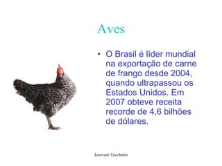 Aves O Brasil é líder mundial na exportação de carne de frango desde 2004, quando ultrapassou os Estados Unidos. Em 2007 obteve receita recorde de 4,6 bilhões de dólares.   