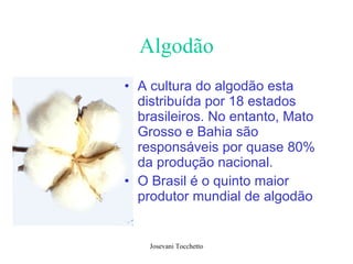 Algodão A cultura do algodão esta distribuída por 18 estados brasileiros. No entanto, Mato Grosso e Bahia são responsáveis por quase 80% da produção nacional.  O Brasil é o quinto maior produtor mundial de algodão   