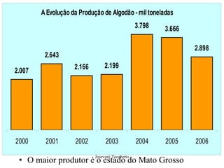 O maior produtor é o estado do Mato Grosso 