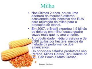 Milho Nos últimos 2 anos, houve uma abertura do mercado externo ocasionada pelo incentivo dos EUA para utilização do milho para a produção de etanol. Em 2007, o Brasil exportou 1,9 bilhão de dólares em milho, quase quatro vezes mais que no ano anterior.  A produtividade média brasileira é de 3500 quilos por hectare, menos da metade da performance dos americanos.  Os principais estados produtores são: Paraná, Minas Gerais, Rio Grande do Sul, São Paulo e Mato Grosso. 