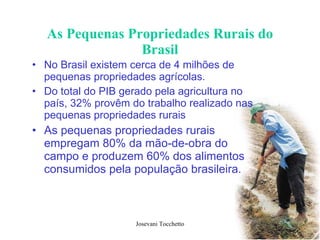 As Pequenas Propriedades Rurais do Brasil No Brasil existem cerca de 4 milhões de pequenas propriedades agrícolas. Do total do PIB gerado pela agricultura no país, 32% provêm do trabalho realizado nas pequenas propriedades rurais  As pequenas propriedades rurais empregam 80% da mão-de-obra do campo e produzem 60% dos alimentos consumidos pela população brasileira. 