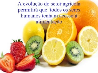 A evolução do setor agrícola permitirá que  todos os seres humanos tenham acesso a alimentação 