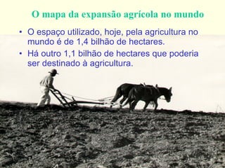 O mapa da expansão agrícola no mundo O espaço utilizado, hoje, pela agricultura no mundo é de 1,4 bilhão de hectares. Há outro 1,1 bilhão de hectares que poderia ser destinado à agricultura. 