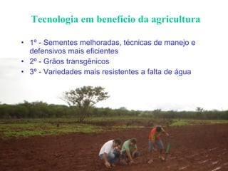 Tecnologia em benefício da agricultura 1º - Sementes melhoradas, técnicas de manejo e defensivos mais eficientes 2º - Grãos transgênicos 3º - Variedades mais resistentes a falta de água 