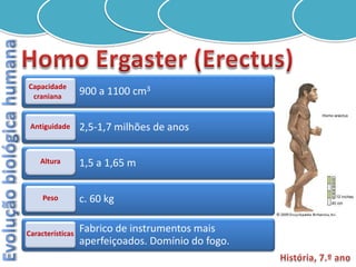 Capacidade
 craniana
                  900 a 1100 cm3


 Antiguidade      2,5-1,7 milhões de anos

    Altura        1,5 a 1,65 m

     Peso         c. 60 kg

Características
                  Fabrico de instrumentos mais
                  aperfeiçoados. Domínio do fogo.
 