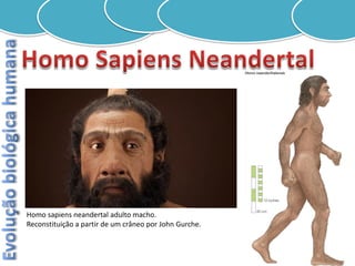 Homo sapiens neandertal adulto macho.
Reconstituição a partir de um crâneo por John Gurche.
 