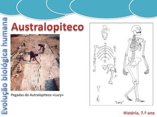 Pegadas do Autralopiteco «Lucy»
 