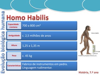 Capacidade
 craniana
                  700 a 800 cm3


 Antiguidade      c. 2,5 milhões de anos

    Altura        1,25 a 1,35 m

     Peso         c. 45 kg

Características
                  Fabrico de instrumentos em pedra.
                  Linguagem rudimentar.
 