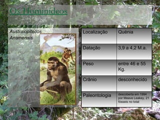 Os Hominídeos <ul><li>Australopitecos </li></ul><ul><li>Anamensis </li></ul>Localização Quénia Datação 3,9 a 4,2 M.a. Peso...
