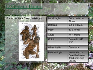 O Género Homo <ul><li>Homo habilis -  Características </li></ul>Localização Sul e Leste de África Datação 2,4 a 1,8 M.a. P...
