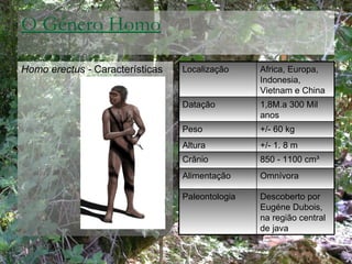 O Género Homo <ul><li>Homo erectus -  Características </li></ul>Localização Africa, Europa, Indonesia, Vietnam e China Dat...