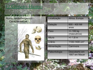 O Género Homo <ul><li>Homo heidelbergensis -  Características </li></ul>Localização Africa, Europa Datação 600 - 400 Mil a...