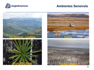  Ações listadas nas bolsas de Londres e Johanesburgo;CarvãoNíquelMinério de ferroPlatina6