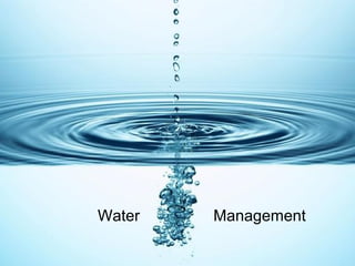 Water   Management
 