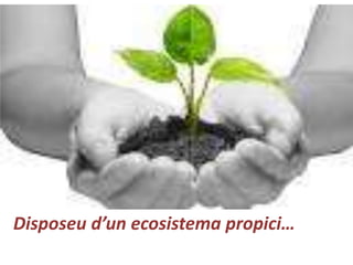 Disposeu d’un ecosistema propici…
 