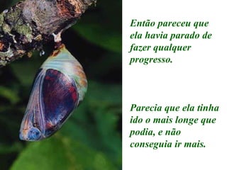 Então pareceu que ela havia parado de fazer qualquer progresso. Parecia que ela tinha ido o mais longe que podia, e não conseguia ir mais. 