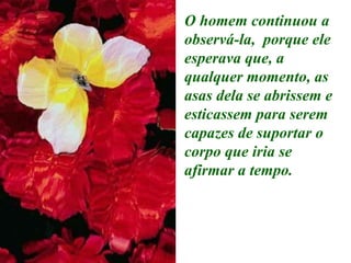O homem continuou a observá-la,  porque ele esperava que, a qualquer momento, as asas dela se abrissem e esticassem para serem capazes de suportar o corpo que iria se afirmar a tempo. 