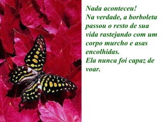 Nada aconteceu! Na verdade, a borboleta passou o resto de sua vida rastejando com um corpo murcho e asas encolhidas. Ela nunca foi capaz de voar.   