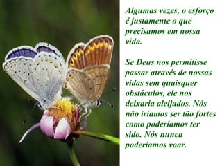 Algumas vezes, o esforço é justamente o que precisamos em nossa vida. Se Deus nos permitisse passar através de nossas vidas sem quaisquer obstáculos, ele nos deixaria aleijados. Nós não iríamos ser tão fortes como poderíamos ter sido. Nós nunca poderíamos voar. 