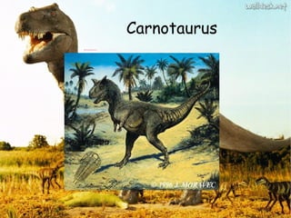 Carnotaurus 