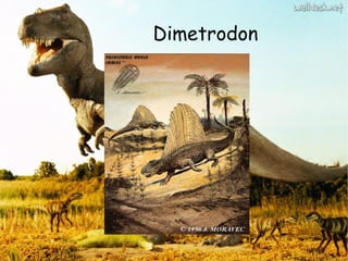 Dimetrodon 
