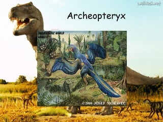 Archeopteryx 